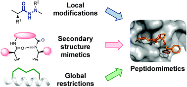 Graphical abstract: Peptidomimetic toolbox for drug discovery