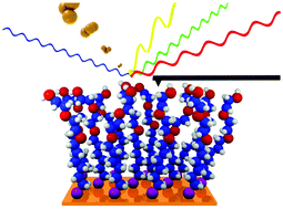 Graphical abstract: Surface analysis tools for characterizing biological materials