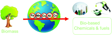 Graphical abstract: Earth-abundant 3d-transition-metal catalysts for lignocellulosic biomass conversion