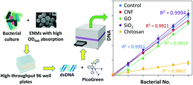 Graphical abstract: A high-throughput method to characterize the gut bacteria growth upon engineered nanomaterial treatment