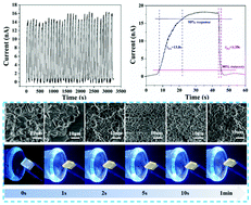 Graphical abstract: A reversible and fast-responsive humidity sensor based on a lead-free Cs2TeCl6 double perovskite