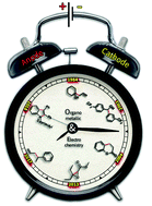 Graphical abstract: Transition metal-catalyzed electrochemical processes for C–C bond formation