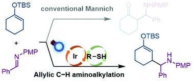 Graphical abstract: Mannich-type allylic C–H functionalization of enol silyl ethers under photoredox–thiol hybrid catalysis