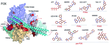 Graphical abstract: PI3K inhibitors: review and new strategies