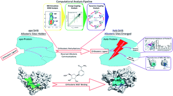 Graphical abstract: Discovery of cryptic allosteric sites using reversed allosteric communication by a combined computational and experimental strategy