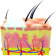 Graphical abstract: Nanomedicines and microneedles: a guide to their analysis and application