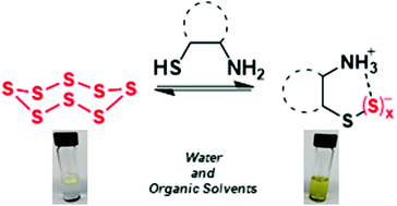 Graphical abstract: Accelerated reduction and solubilization of elemental sulfur by 1,2-aminothiols