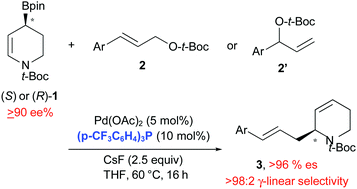 Graphical abstract: Regiocontrolled synthesis of enantioenriched 2-substituted dehydropiperidines by stereospecific allyl–allyl cross-coupling of a chiral allylic boronate