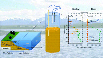 Graphical abstract: Spatial distribution and biogeochemistry of redox active species in arctic sedimentary porewaters and seeps