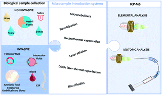 Graphical abstract: Microsampling of biological fluids for elemental and isotopic analysis by ICP-MS: strategies and applications for disease diagnosis