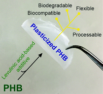 Graphical abstract: Levulinic acid-based bioplasticizers: a facile approach to enhance the thermal and mechanical properties of polyhydroxyalkanoates