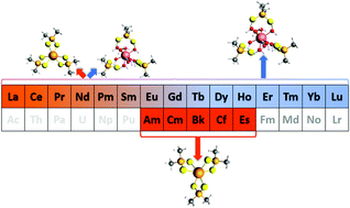 Graphical abstract: Extraction of the trivalent transplutonium actinides americium through einsteinium by the sulfur donor Cyanex 301