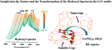 Graphical abstract: Insight into the nature and the transformation of the hydroxyl species in the CeY zeolite