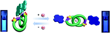 Graphical abstract: Synthesis, structure elucidation and functionalization of sulfonamide [2]catenanes