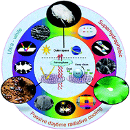 Graphical abstract: Multi-bioinspired self-cleaning energy-free cooling coatings