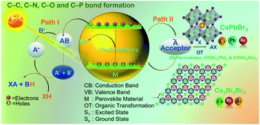 Graphical abstract: Can perovskites be efficient photocatalysts in organic transformations?