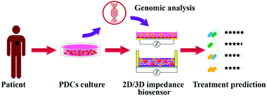 Graphical abstract: A multidimensional biosensor system to guide LUAD individualized treatment