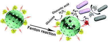 Graphical abstract: Cascade catalytic nanoplatform constructed by laterally-functionalized pillar[5]arenes for antibacterial chemodynamic therapy