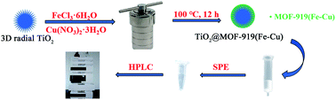 Graphical abstract: TiO2@MOF-919(Fe–Cu) as a sorbent for the extraction of benzoylurea pesticides from irrigation water and fruit juices