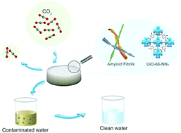 Graphical abstract: Amyloid fibril-UiO-66-NH2 aerogels for environmental remediation