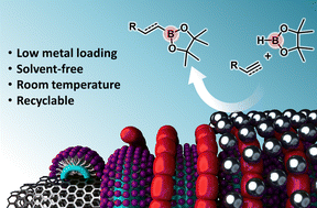 Graphical abstract: Solvent-free hydroboration of alkenes and alkynes catalyzed by rhodium-ruthenium nanoparticles on carbon nanotubes