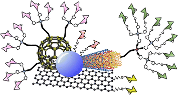 Graphical abstract: Carbon-based glyco-nanoplatforms: towards the next generation of glycan-based multivalent probes