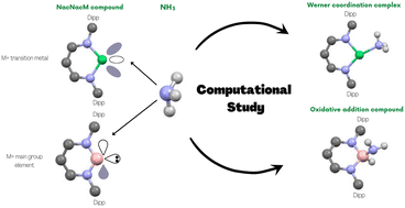 Graphical abstract: Oxidative addition or Werner coordination complex? Reactivity of β-diketiminate supported main group and first-row transition metal complexes towards ammonia