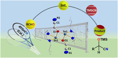 Graphical abstract: Stannylene cyanide and its use as a cyanosilylation catalyst