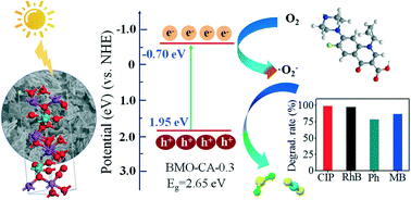 Graphical abstract: Modulation and self-assembly of nanoparticles into bismuth molybdate nanosheets as highly efficient photocatalysts for ciprofloxacin degradation