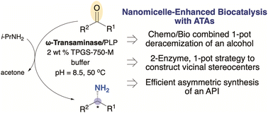 Graphical abstract: Impact of aqueous micellar media on biocatalytic transformations involving transaminase (ATA); applications to chemoenzymatic catalysis