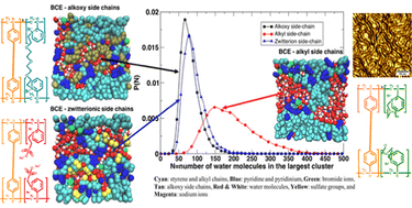 Graphical abstract: Ion transport on self-assembled block copolymer electrolytes with different side chain chemistries