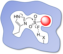 Graphical abstract: Covalent drugs targeting histidine – an unexploited opportunity?