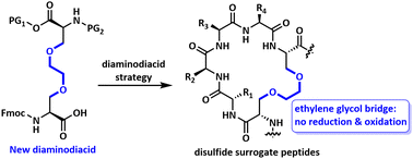 Graphical abstract: Synthesis of disulfide surrogate peptides incorporating an ethylene glycol bridge