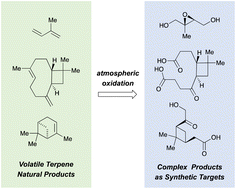 Graphical abstract: Organic synthesis in the study of terpene-derived oxidation products in the atmosphere