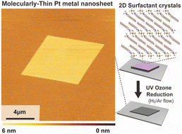 Graphical abstract: Tailored synthesis of molecularly thin platinum nanosheets using designed 2D surfactant solids