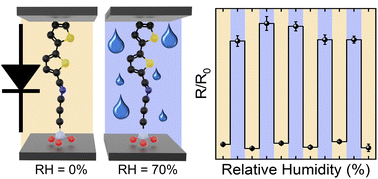 Graphical abstract: Humidity sensors based on molecular rectifiers