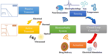 Graphical abstract: Pathway of transient electronics towards connected biomedical applications