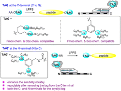 Graphical abstract: Silicon-based hydrophobic tags applied in liquid-phase peptide synthesis: protected DRGN-1 and poly alanine chain synthesis
