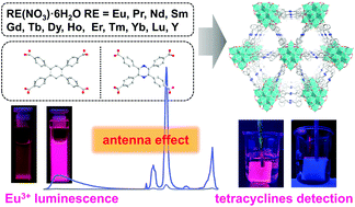 Graphical abstract: Pyrazine functionalization to boost the antenna effect in rare-earth metal–organic frameworks for tetracycline detection