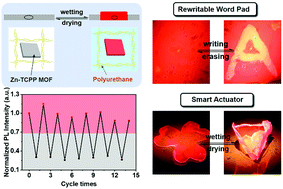 Graphical abstract: Water-triggered synergistic fluorescence variation and shape deformation in a Zn-TCPP metal–organic framework-based gel