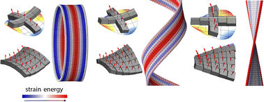 Graphical abstract: Building blocks of non-Euclidean ribbons: size-controlled self-assembly via discrete frustrated particles