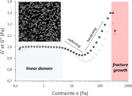 Graphical abstract: Non-linear properties and yielding of enzymatic milk gels