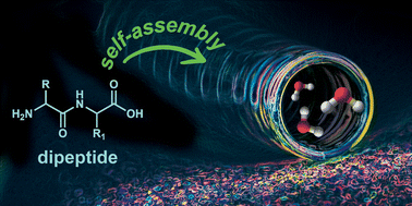 Graphical abstract: Nanotubes and water-channels from self-assembling dipeptides