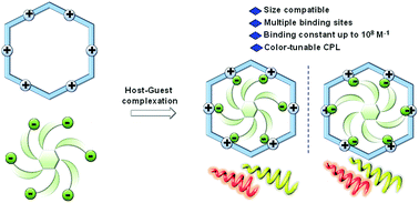 Graphical abstract: Platinum(ii) metallacycles as highly affinitive hosts for dendritic amino acids with tunable circularly polarized luminescence