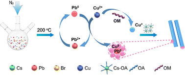 Graphical abstract: Synthesis and optical properties of CsCu2Br3–Cu0 nanoheterojunctions