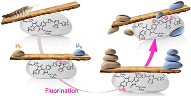 Graphical abstract: The fluorination effect: the importance of backbone planarity in achieving high performance ambipolar field effect transistors