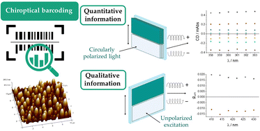 Graphical abstract: 2D self-assembly of o-OPE foldamers for chiroptical barcoding