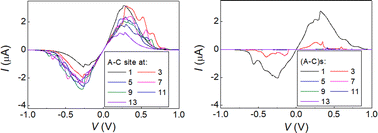 Graphical abstract: Charge transport properties of ideal and natural DNA segments, as mutation detectors