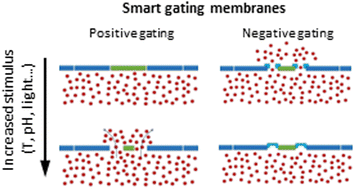 Graphical abstract: A review of stimuli-responsive polymer-based gating membranes