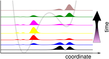 Graphical abstract: Coherent state switching using vibrational polaritons in an asymmetric double-well potential